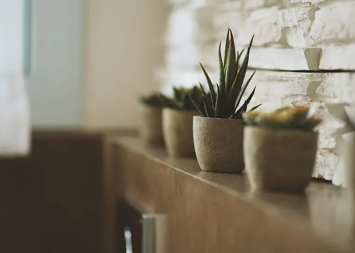 Gelso Bianco Country Bed & Breakfast Savignano sul Panaro