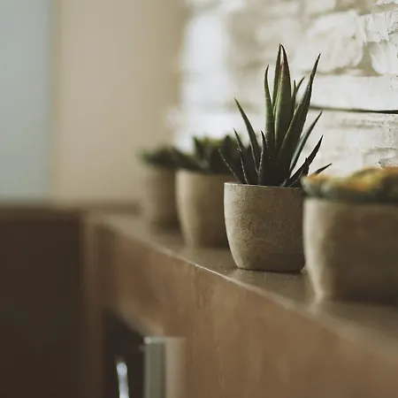 Gelso Bianco Country Oda ve Kahvaltı Savignano sul Panaro